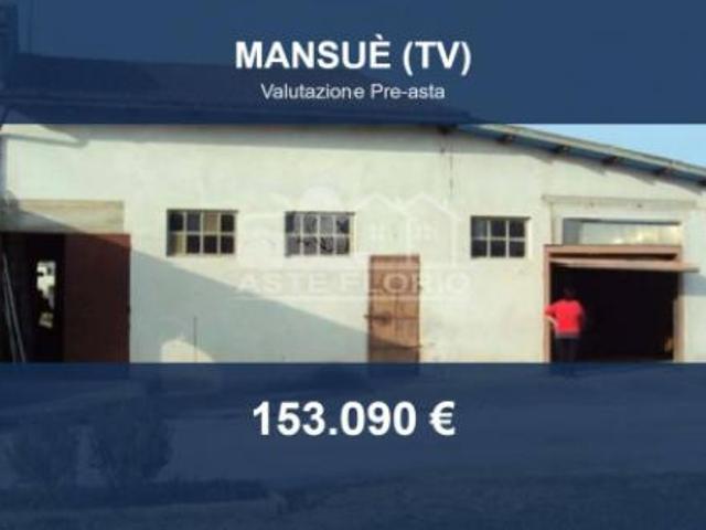 Immobile in asta di 286 m con più di 5 locali in vendita a Mansuè