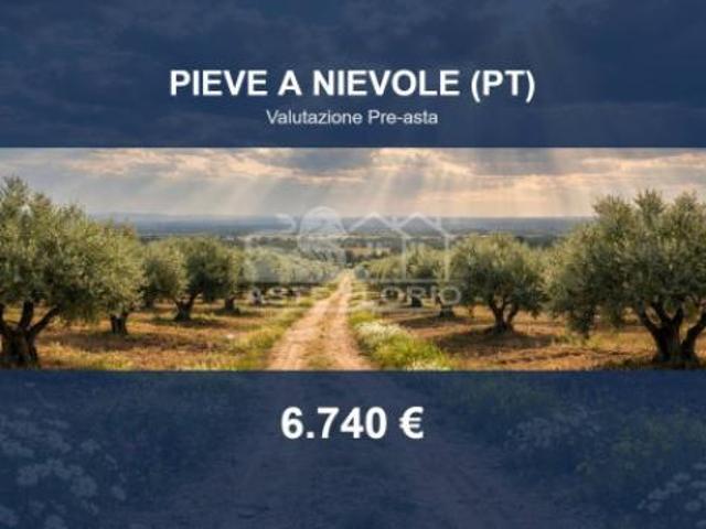 Immobile in asta di 2910 m in vendita a Pieve a Nievole