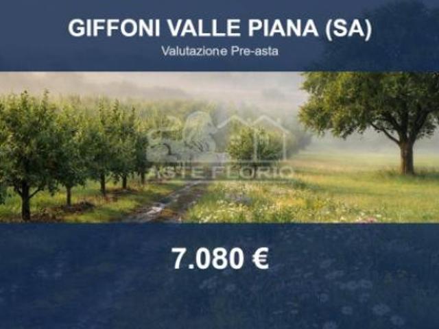 Immobile in asta di 29371 m in vendita a Giffoni Valle Piana