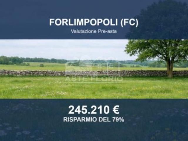 Immobile in asta di 295969 m in vendita a Forlimpopoli