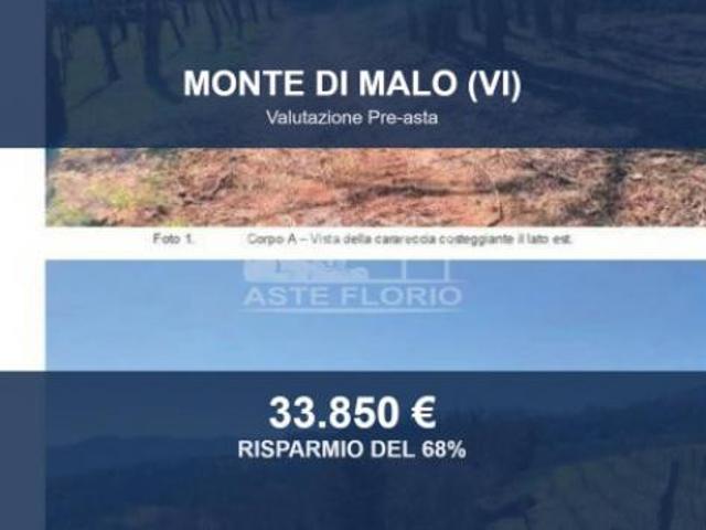 Immobile in asta di 29963 m in vendita a Monte di Malo