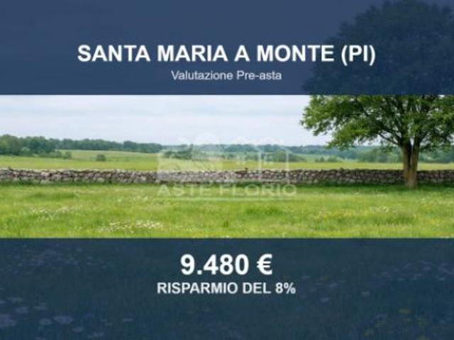 Immobile in asta di 20000 m in vendita a Santa Maria a Monte