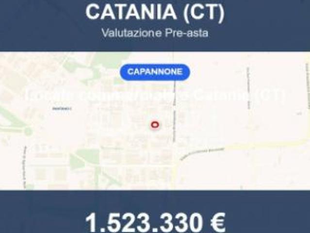 Immobile in asta di 2000 m in vendita a Catania