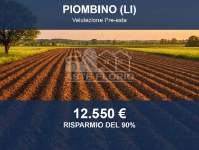 Immobile in asta di 200 m in vendita a Piombino