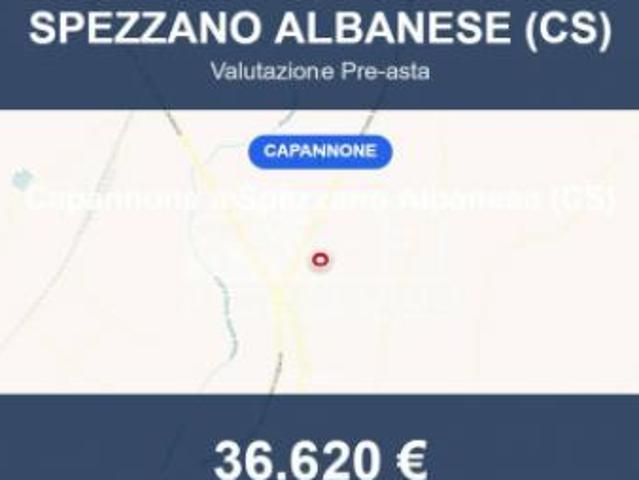 Immobile in asta di 200 m in vendita a Spezzano Albanese