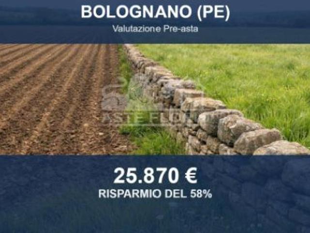 Immobile in asta di 20445 m in vendita a Bolognano