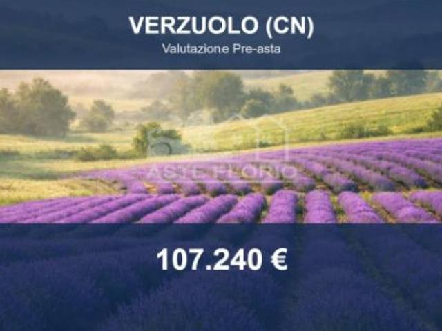Immobile in asta di 20486 m in vendita a Verzuolo