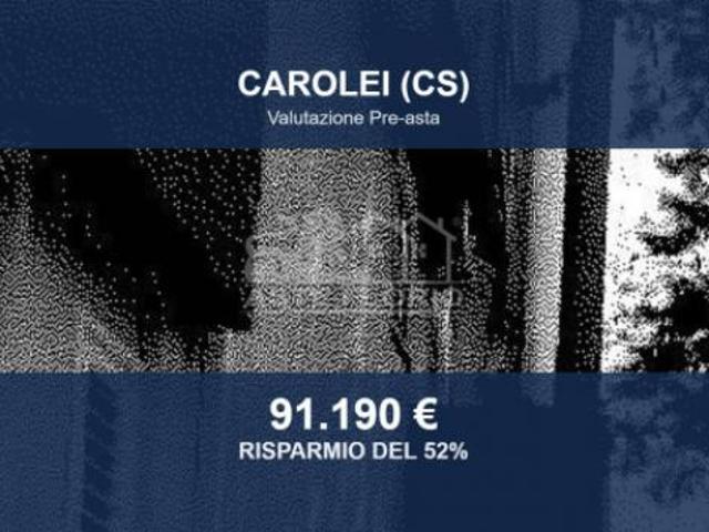Immobile in asta di 204 m con più di 5 locali e box auto in vendita a Carolei