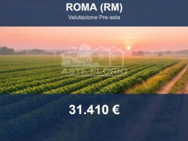 Immobile in asta di 20528 m in vendita a Roma