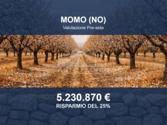 Immobile in asta di 2087774 m in vendita a Momo