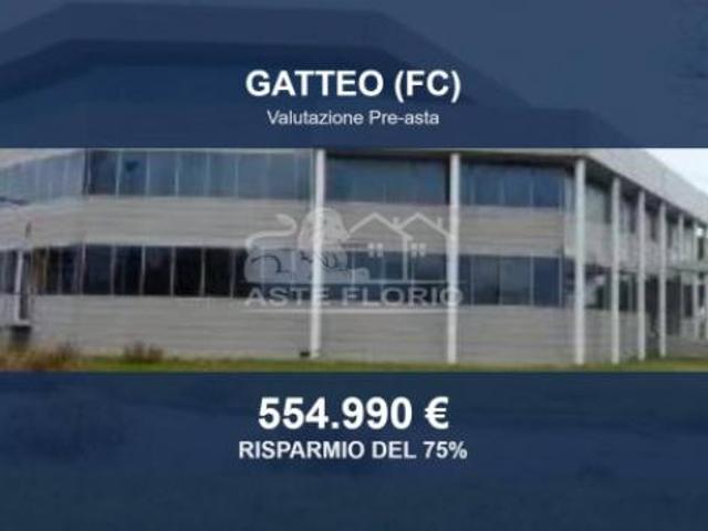 Immobile in asta di 2090 m in vendita a Gatteo