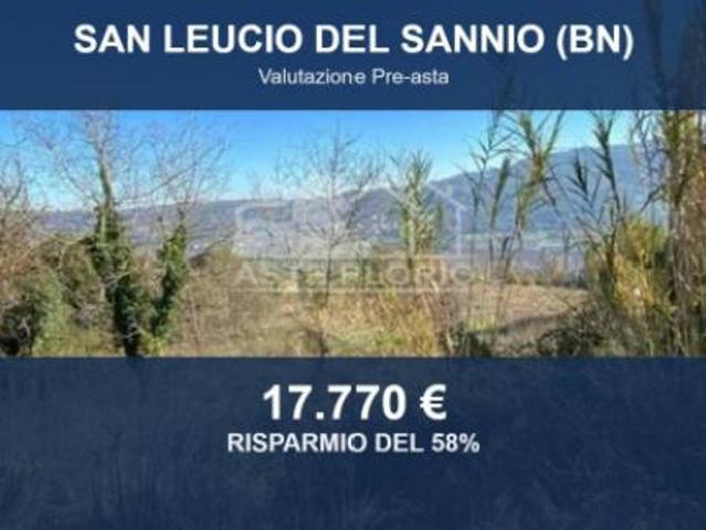 Immobile in asta di 21068 m in vendita a San Leucio del Sannio