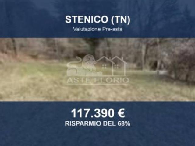 Immobile in asta di 21249 m in vendita a Stenico
