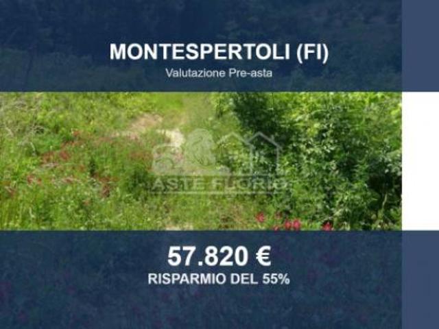 Immobile in asta di 21514 m in vendita a Montespertoli