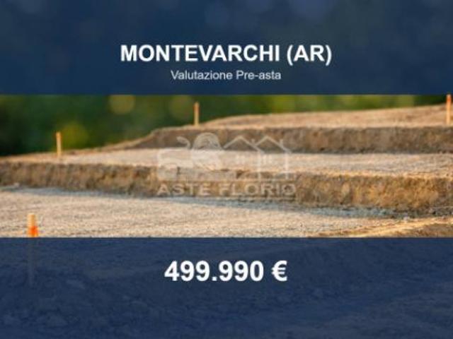 Immobile in asta di 21536 m in vendita a Montevarchi