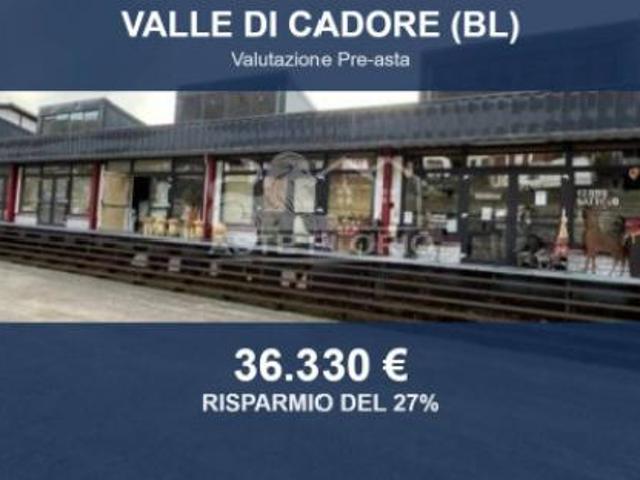 Immobile in asta di 215 m in vendita a Valle di Cadore