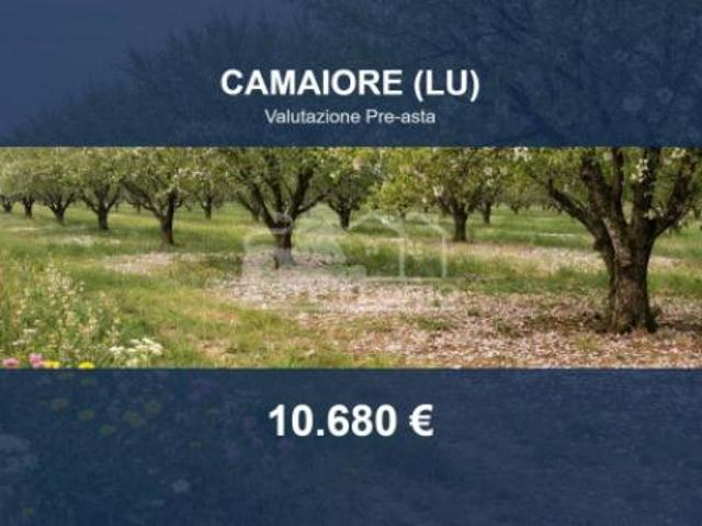 Immobile in asta di 2196 m in vendita a Camaiore