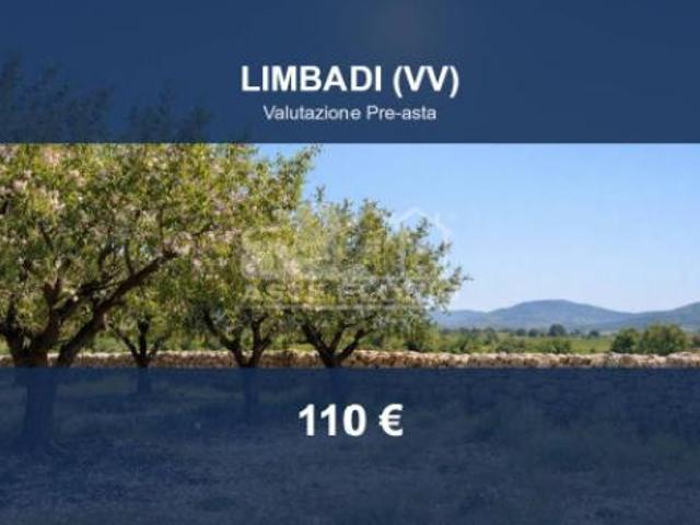Immobile in asta di 220 m in vendita a Limbadi