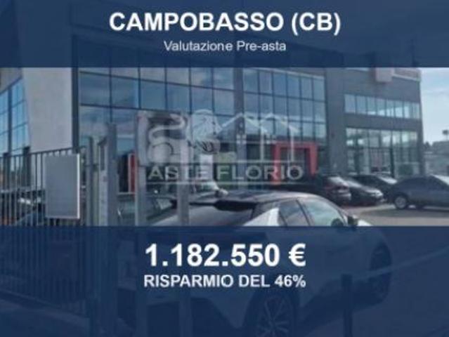 Immobile in asta di 2259 m in vendita a Campobasso