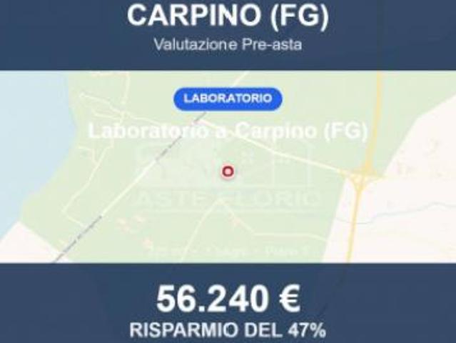 Immobile in asta di 225 m in vendita a Carpino