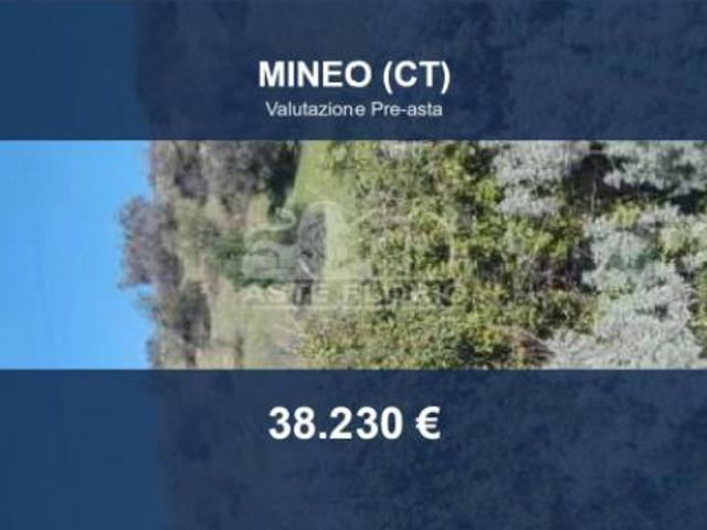 Immobile in asta di 228133 m in vendita a Mineo