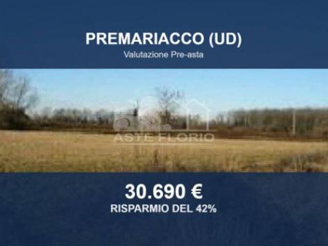 Immobile in asta di 22900 m in vendita a Premariacco