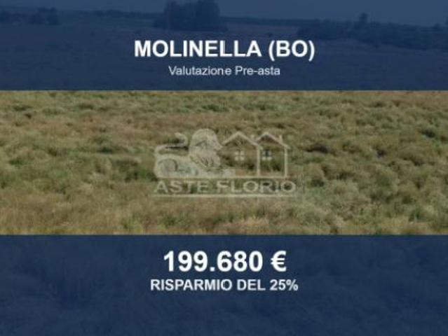 Immobile in asta di 34041 m in vendita a Molinella