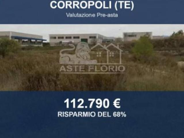 Immobile in asta di 34274 m in vendita a Corropoli