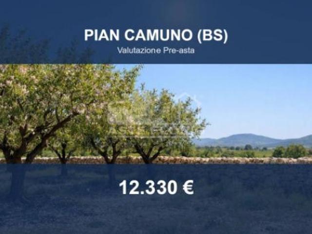 Immobile in asta di 34370 m in vendita a Pian Camuno