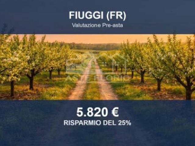 Immobile in asta di 3450 m in vendita a Fiuggi