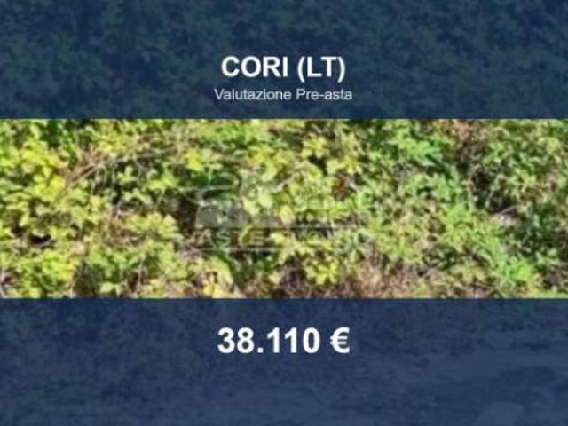 Immobile in asta di 3490 m in vendita a Cori