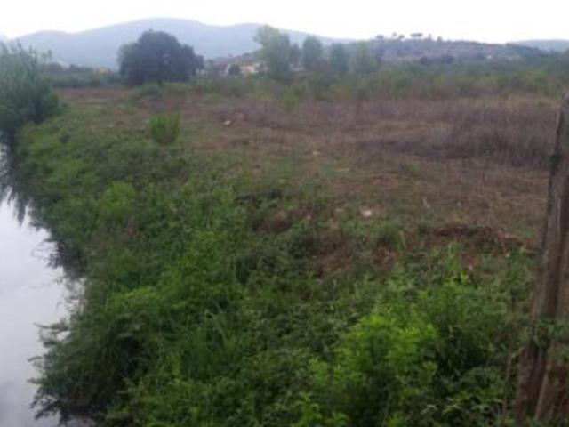 Immobile in asta di 35 m in vendita a Fondi