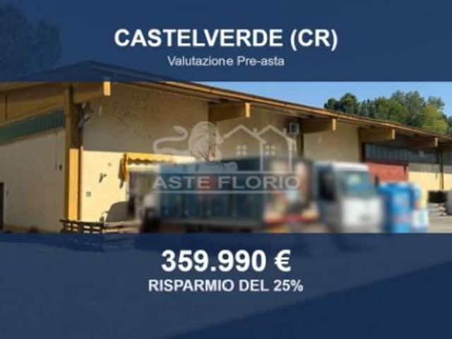 Immobile in asta di 35378 m in vendita a Castelverde