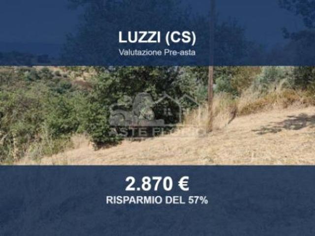 Immobile in asta di 3560 m in vendita a Luzzi