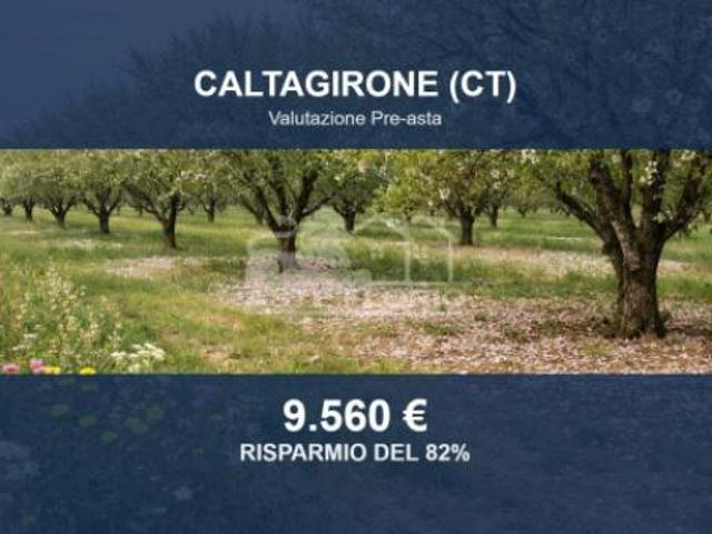 Immobile in asta di 35824 m in vendita a Caltagirone