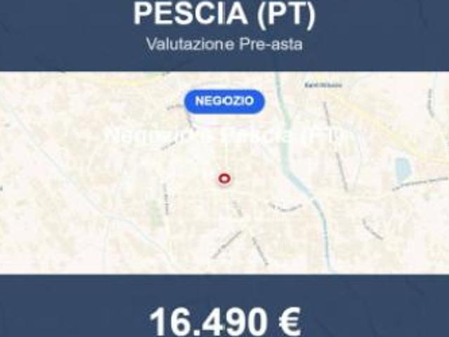 Immobile in asta di 35 m in vendita a Pescia