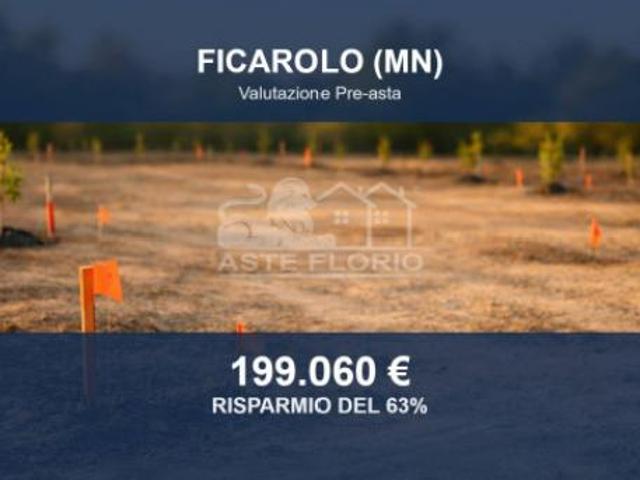 Immobile in asta di 36113 m in vendita a Ficarolo