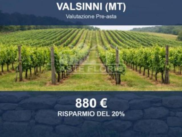 Immobile in asta di 3674 m in vendita a Valsinni
