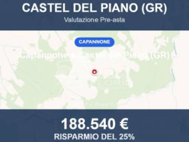Immobile in asta di 368 m in vendita a Castel del Piano