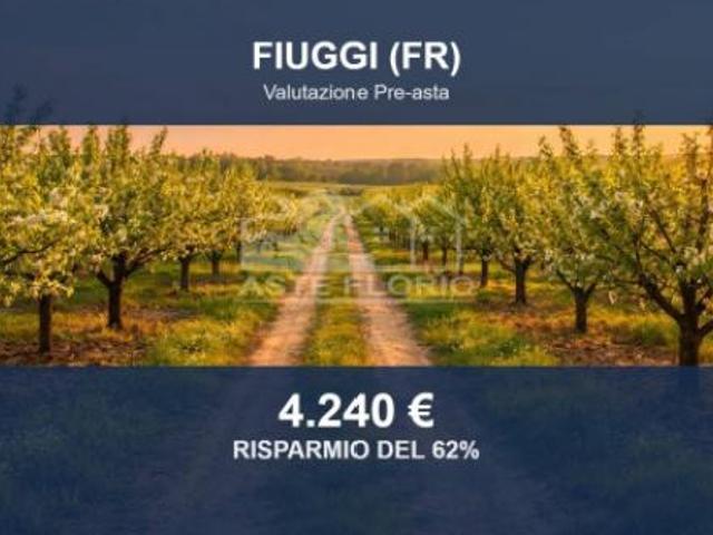 Immobile in asta di 3690 m in vendita a Fiuggi