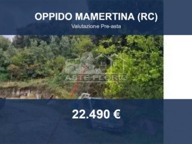 Immobile in asta di 3700 m in vendita a Oppido Mamertina