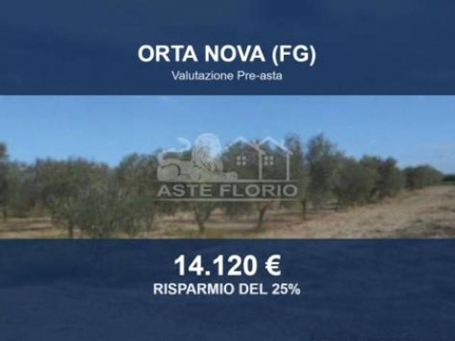 Immobile in asta di 3768 m in vendita a Orta Nova