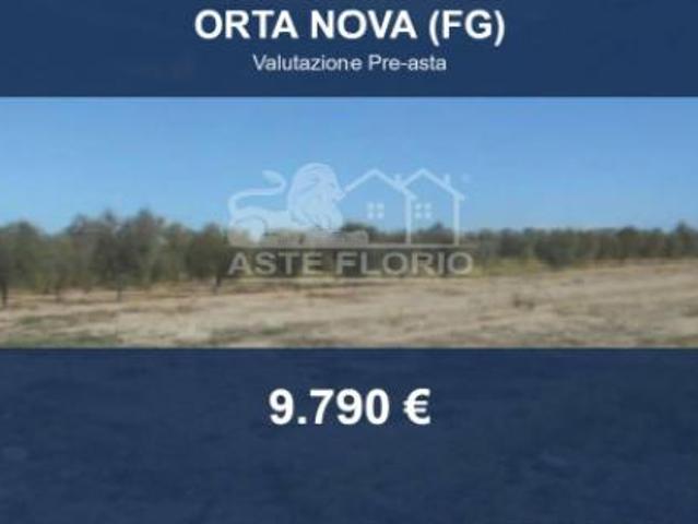 Immobile in asta di 3769 m in vendita a Orta Nova