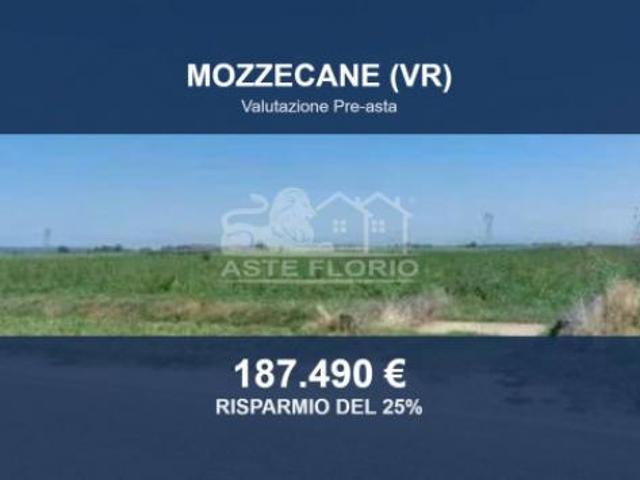 Immobile in asta di 38621 m in vendita a Mozzecane