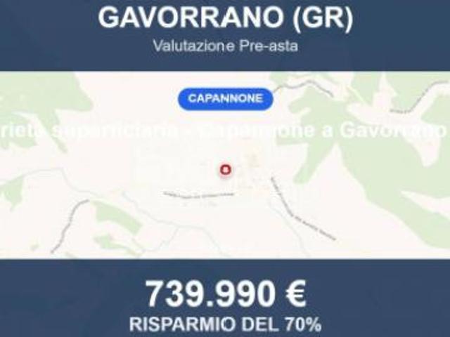 Immobile in asta di 38802 m in vendita a Gavorrano