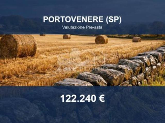 Immobile in asta di 3922 m in vendita a Portovenere
