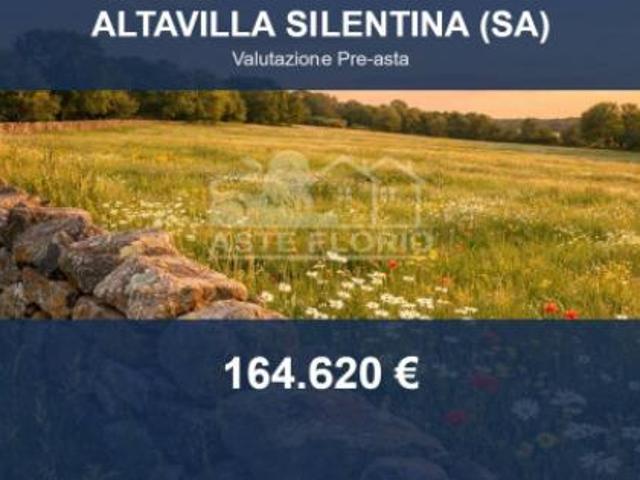 Immobile in asta di 39367 m in vendita a Altavilla Silentina