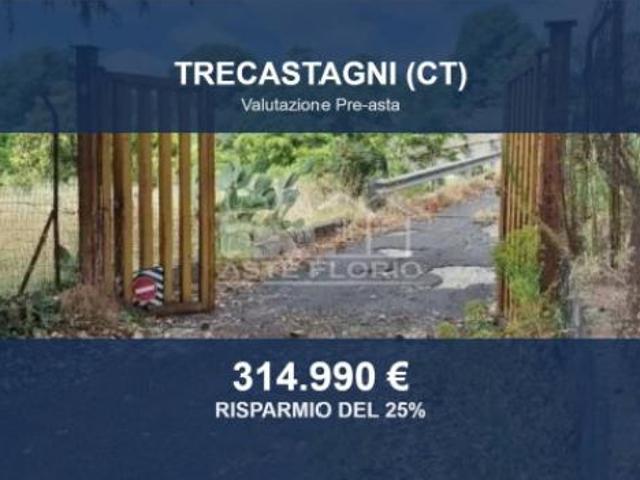 Immobile in asta di 39780 m in vendita a Trecastagni