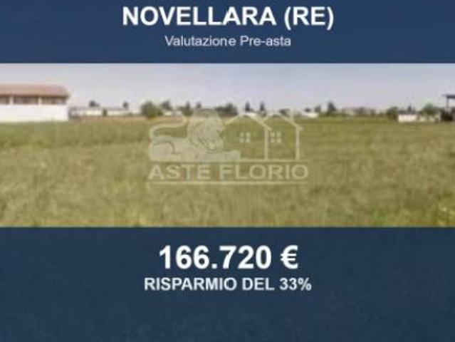 Immobile in asta di 39945 m in vendita a Novellara