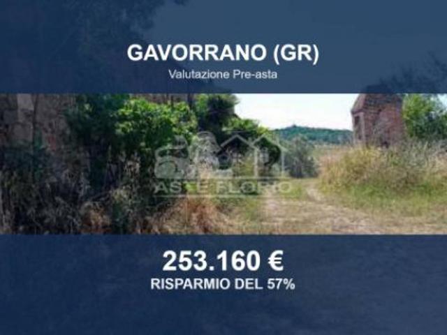 Immobile in asta di 300000 m in vendita a Gavorrano